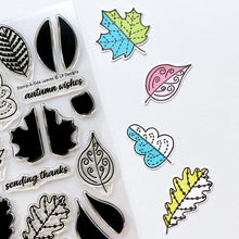 Load image into Gallery viewer, Catherine Pooler - Stamp & Die Set - Stamp-a-Side Leaves. You will certainly fall for the Stamp-a-Side Leaves Stamp & Die Set. You can stamp the whimsical patterned leaves with multiple ink colors or color the outline image with markers or blender pens. Available at Embellish Away located in Bowmanville Ontario Canada.
