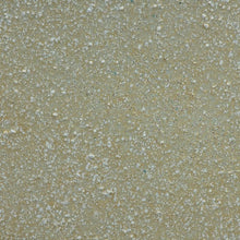 Load image into Gallery viewer, Catherine Pooler - WOW - Special Color Embossing Powder - X - Cream on Top. Available at Embellish Away located in Bowmanville Ontario Canada.