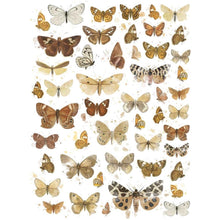 Load image into Gallery viewer, 49 And Market - Essential Rub-Ons 6"X8" - 2/Sheets - Butterflies 01. 2 sheets of rub-on transfers. Each sheet measures 6x8 inches and is loaded with elements that are perfect for mixing and matching with all your crafting projects. Available at Embellish Away located in Bowmanville Ontario Canada.