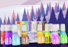 Load image into Gallery viewer, Bearly Art - Blendable Alcohol Inks - The Classic Collection