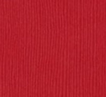 Load image into Gallery viewer, Bazzill-Fourz Cardstock. With the hundreds of choices in cardstock Bazzill offers you are guaranteed to find just the right one with the perfect finish for all of your scrapbook, card making and paper craft projects of all kinds. Choose from a variety of colours in 12x12 inch sheets of high quality cardstock with a grass cloth finish. Available at Embellish Away located in Bowmanville Ontario Canada. Berrylicious.