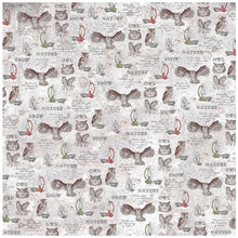 Charger l'image dans la galerie, Ciao Bella - Patterns Pad 12x12 - 8/Pkg + 1 Free deluxe sheet. The Patterns Pad is more than only textures and backgrounds. It features beautiful artwork to complete the collection’s storytelling. Available at Embellish Away located in Bowmanville Ontario Canada.