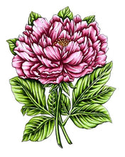 Load image into Gallery viewer, Couture Creations - Stamp and Colour - Peony. This beautiful five piece Peony Stamp and Colour Set which is part of the “Vintage Blooms” collection will make a great addition and will be perfect for cards and projects. Approx. 100 x 130mm | 3.9 x 5.1in. Available at Embellish Away located in Bowmanville Ontario Canada.