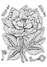 Load image into Gallery viewer, Couture Creations - Stamp and Colour - Peony. This beautiful five piece Peony Stamp and Colour Set which is part of the “Vintage Blooms” collection will make a great addition and will be perfect for cards and projects. Approx. 100 x 130mm | 3.9 x 5.1in. Available at Embellish Away located in Bowmanville Ontario Canada.