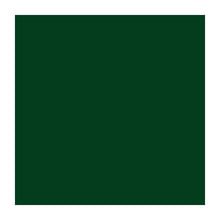 Load image into Gallery viewer, Cricut - Everyday Iron-On Vinyl 12"X24" Roll - Kelly. Personalize your life with Cricut vinyl. It is perfect for home decor, t-shirts, bags and more! All Cricut machines can cut detailed images from this iron-on vinyl (sold separately). This package contains one 12x24 inch sheet of sheet of vinyl. Imported. Available at Embellish Away located in Bowmanville Ontario Canada.