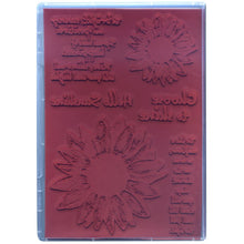 Load image into Gallery viewer, Darkroom Door - Rubber Stamp Set - Sunflowers. Darkroom Door Rubber Stamp Sets are mounted on cling foam and supplied in a DVD size storage case with a labelled spine for easy identification. Available at Embellish Away located in Bowmanville Ontario Canada.