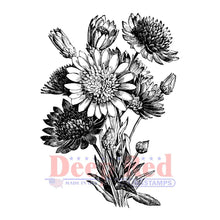 Load image into Gallery viewer, Deep Red - Cling Stamp - 2.1"X3" - Xeranthemum. There is such a large variety of stamps that you will be able to find the perfect match for every project. There are background stamps, holiday themed, sentiments, love, friendship, floral, characters and more! Deep Red stamps are made of a blend of natural rubber and are attached to a cling foam pad for better definition. Available at Embellish Away located in Bowmanville Ontario Canada.