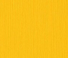 Load image into Gallery viewer, Bazzill-Fourz Cardstock. With the hundreds of choices in cardstock Bazzill offers you are guaranteed to find just the right one with the perfect finish for all of your scrapbook, card making and paper craft projects of all kinds. Choose from a variety of colours in 12x12 inch sheets of high quality cardstock with a grass cloth finish. Available at Embellish Away located in Bowmanville Ontario Canada. Desert Marigold.