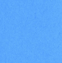 Load image into Gallery viewer, Bazzill-Fourz Cardstock. With the hundreds of choices in cardstock Bazzill offers you are guaranteed to find just the right one with the perfect finish for all of your scrapbook, card making and paper craft projects of all kinds. Choose from a variety of colours in 12x12 inch sheets of high quality cardstock with a grass cloth finish. Available at Embellish Away located in Bowmanville Ontario Canada. Evening Surf.