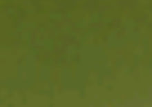 Load image into Gallery viewer, Gina K. Designs - Ink Refills - Select from Variety. Gina K. Designs exclusive Re-inkers are Acid Free and PH-Neutral. Use to re-ink Gina K. Designs Color Coordinates Ink Pad and for other techniques. Coordinates with other Color Companions products including ribbon, buttons, card stock and re-inkers. Each sold separately. Available at Embellish Away located in Bowmanville Ontario Canada. Fresh Asparagus