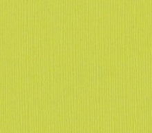 Load image into Gallery viewer, Bazzill-Fourz Cardstock. With the hundreds of choices in cardstock Bazzill offers you are guaranteed to find just the right one with the perfect finish for all of your scrapbook, card making and paper craft projects of all kinds. Choose from a variety of colours in 12x12 inch sheets of high quality cardstock with a grass cloth finish. Available at Embellish Away located in Bowmanville Ontario Canada. Granny Smith.