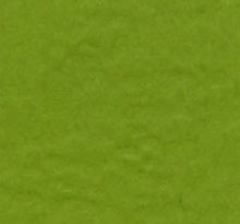 Load image into Gallery viewer, Bazzill-Fourz Cardstock. With the hundreds of choices in cardstock Bazzill offers you are guaranteed to find just the right one with the perfect finish for all of your scrapbook, card making and paper craft projects of all kinds. Choose from a variety of colours in 12x12 inch sheets of high quality cardstock with a grass cloth finish. Available at Embellish Away located in Bowmanville Ontario Canada. Intense Kiwi.