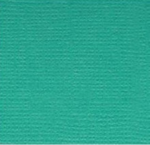 Load image into Gallery viewer, Bazzill-Fourz Cardstock. With the hundreds of choices in cardstock Bazzill offers you are guaranteed to find just the right one with the perfect finish for all of your scrapbook, card making and paper craft projects of all kinds. Choose from a variety of colours in 12x12 inch sheets of high quality cardstock with a grass cloth finish. Available at Embellish Away located in Bowmanville Ontario Canada. Kachina.