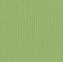 Load image into Gallery viewer, Bazzill-Fourz Cardstock. With the hundreds of choices in cardstock Bazzill offers you are guaranteed to find just the right one with the perfect finish for all of your scrapbook, card making and paper craft projects of all kinds. Choose from a variety of colours in 12x12 inch sheets of high quality cardstock with a grass cloth finish. Available at Embellish Away located in Bowmanville Ontario Canada. Lily Pond.