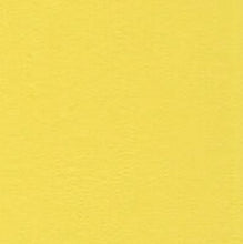 Load image into Gallery viewer, Bazzill-Fourz Cardstock. With the hundreds of choices in cardstock Bazzill offers you are guaranteed to find just the right one with the perfect finish for all of your scrapbook, card making and paper craft projects of all kinds. Choose from a variety of colours in 12x12 inch sheets of high quality cardstock with a grass cloth finish. Available at Embellish Away located in Bowmanville Ontario Canada. Mexican Poppy.