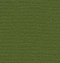 Load image into Gallery viewer, Bazzill - 12x12 Cardstock - Monochromatic - (80L). With the hundreds of choices in cardstock Bazzill offers you are guaranteed to find just the right one. 12x12 inch sheets of high quality cardstock with a canvas, crisscross or classic finish. Available in a vast variety of colors: each sold separately. Made in USA. Available at Embellish Away located in Bowmanville Ontario Canada.