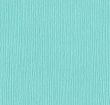 Load image into Gallery viewer, Bazzill-Fourz Cardstock. With the hundreds of choices in cardstock Bazzill offers you are guaranteed to find just the right one with the perfect finish for all of your scrapbook, card making and paper craft projects of all kinds. Choose from a variety of colours in 12x12 inch sheets of high quality cardstock with a grass cloth finish. Available at Embellish Away located in Bowmanville Ontario Canada. Patina.