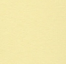 Load image into Gallery viewer, Bazzill-Fourz Cardstock. With the hundreds of choices in cardstock Bazzill offers you are guaranteed to find just the right one with the perfect finish for all of your scrapbook, card making and paper craft projects of all kinds. Choose from a variety of colours in 12x12 inch sheets of high quality cardstock with a grass cloth finish. Available at Embellish Away located in Bowmanville Ontario Canada. Pollen.