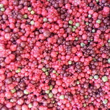 Load image into Gallery viewer, Prills - US Artquest - Mini Prills (Individuals or Sets)