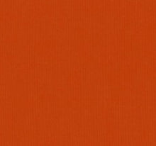 Load image into Gallery viewer, Bazzill-Fourz Cardstock. With the hundreds of choices in cardstock Bazzill offers you are guaranteed to find just the right one with the perfect finish for all of your scrapbook, card making and paper craft projects of all kinds. Choose from a variety of colours in 12x12 inch sheets of high quality cardstock with a grass cloth finish. Available at Embellish Away located in Bowmanville Ontario Canada. Pumpkin Patch.