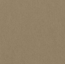 Load image into Gallery viewer, Bazzill-Fourz Cardstock. With the hundreds of choices in cardstock Bazzill offers you are guaranteed to find just the right one with the perfect finish for all of your scrapbook, card making and paper craft projects of all kinds. Choose from a variety of colours in 12x12 inch sheets of high quality cardstock with a grass cloth finish. Available at Embellish Away located in Bowmanville Ontario Canada. Quick Sand.