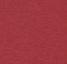 Load image into Gallery viewer, Bazzill-Fourz Cardstock. With the hundreds of choices in cardstock Bazzill offers you are guaranteed to find just the right one with the perfect finish for all of your scrapbook, card making and paper craft projects of all kinds. Choose from a variety of colours in 12x12 inch sheets of high quality cardstock with a grass cloth finish. Available at Embellish Away located in Bowmanville Ontario Canada. Red Rock.