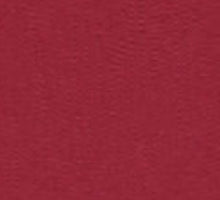 Load image into Gallery viewer, Bazzill-Fourz Cardstock. With the hundreds of choices in cardstock Bazzill offers you are guaranteed to find just the right one with the perfect finish for all of your scrapbook, card making and paper craft projects of all kinds. Choose from a variety of colours in 12x12 inch sheets of high quality cardstock with a grass cloth finish. Available at Embellish Away located in Bowmanville Ontario Canada. Ruby Slipper.