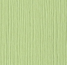 Load image into Gallery viewer, Bazzill-Fourz Cardstock. With the hundreds of choices in cardstock Bazzill offers you are guaranteed to find just the right one with the perfect finish for all of your scrapbook, card making and paper craft projects of all kinds. Choose from a variety of colours in 12x12 inch sheets of high quality cardstock with a grass cloth finish. Available at Embellish Away located in Bowmanville Ontario Canada. Spring Breeze.