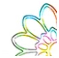 Load image into Gallery viewer, Starform - Deco Stickers - Thank You - Variety of Colours. 30 same size Thank You stickers. Sticker sheets are also accented with flower stickers. Each sold separately. Available: Black, Copper, Gold, Multi-Colour, Silver. Available at Embellish Away located in Bowmanville Ontario Canada.