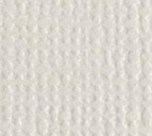 Load image into Gallery viewer, Bazzill - 12x12 Cardstock - Monochromatic - (80L). With the hundreds of choices in cardstock Bazzill offers you are guaranteed to find just the right one. 12x12 inch sheets of high quality cardstock with a canvas, crisscross or classic finish. Available in a vast variety of colors: each sold separately. Made in USA. Available at Embellish Away located in Bowmanville Ontario Canada.