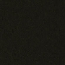 Load image into Gallery viewer, Bazzill-Fourz Cardstock. With the hundreds of choices in cardstock Bazzill offers you are guaranteed to find just the right one with the perfect finish for all of your scrapbook, card making and paper craft projects of all kinds. Choose from a variety of colours in 12x12 inch sheets of high quality cardstock with a grass cloth finish. Available at Embellish Away located in Bowmanville Ontario Canada. Bitter Chocolate.