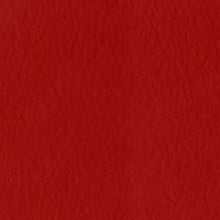 Load image into Gallery viewer, Bazzill-Fourz Cardstock. With the hundreds of choices in cardstock Bazzill offers you are guaranteed to find just the right one with the perfect finish for all of your scrapbook, card making and paper craft projects of all kinds. Choose from a variety of colours in 12x12 inch sheets of high quality cardstock with a grass cloth finish. Available at Embellish Away located in Bowmanville Ontario Canada. Classic Red.