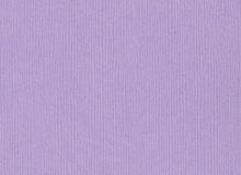 Load image into Gallery viewer, Bazzill-Fourz Cardstock. With the hundreds of choices in cardstock Bazzill offers you are guaranteed to find just the right one with the perfect finish for all of your scrapbook, card making and paper craft projects of all kinds. Choose from a variety of colours in 12x12 inch sheets of high quality cardstock with a grass cloth finish. Available at Embellish Away located in Bowmanville Ontario Canada. Purple Palisades.