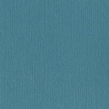 Load image into Gallery viewer, Bazzill-Fourz Cardstock. With the hundreds of choices in cardstock Bazzill offers you are guaranteed to find just the right one with the perfect finish for all of your scrapbook, card making and paper craft projects of all kinds. Choose from a variety of colours in 12x12 inch sheets of high quality cardstock with a grass cloth finish. Available at Embellish Away located in Bowmanville Ontario Canada. Rain.