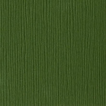 Load image into Gallery viewer, Bazzill-Fourz Cardstock. With the hundreds of choices in cardstock Bazzill offers you are guaranteed to find just the right one with the perfect finish for all of your scrapbook, card making and paper craft projects of all kinds. Choose from a variety of colours in 12x12 inch sheets of high quality cardstock with a grass cloth finish. Available at Embellish Away located in Bowmanville Ontario Canada. Rain Forest.