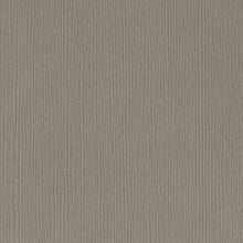 Load image into Gallery viewer, Bazzill-Fourz Cardstock. With the hundreds of choices in cardstock Bazzill offers you are guaranteed to find just the right one with the perfect finish for all of your scrapbook, card making and paper craft projects of all kinds. Choose from a variety of colours in 12x12 inch sheets of high quality cardstock with a grass cloth finish. Available at Embellish Away located in Bowmanville Ontario Canada. Stonehenge.