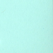 Load image into Gallery viewer, Bazzill-Fourz Cardstock. With the hundreds of choices in cardstock Bazzill offers you are guaranteed to find just the right one with the perfect finish for all of your scrapbook, card making and paper craft projects of all kinds. Choose from a variety of colours in 12x12 inch sheets of high quality cardstock with a grass cloth finish. Available at Embellish Away located in Bowmanville Ontario Canada. Turquoise Mist.