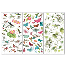 गैलरी व्यूवर में इमेज लोड करें, 49 And Market - Rub-On Transfer Set - Botanical - Kaleidoscope. The Botanical set is filled with flora and fauna. Beautiful imagery of dragonflies and hummingbirds mixed with botanicals and leaves. Available at Embellish Away located in Bowmanville Ontario Canada.
