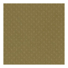 Charger l&#39;image dans la galerie, Bazzill - Dotted Swiss Cardstock 12&quot;X12&quot; - Single Sheets - Mud Puddle.  Full Packs = 25 Sheets of High Quality Cardstock. Embellish Away in Bowmanville Ontario Canada.

