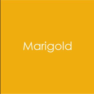 Gina K. Designs - Heavy Weight Cardstock - Marigold. This pack contains 10; 100lb. Available at Embellish Away located in Bowmanville Ontario Canada.