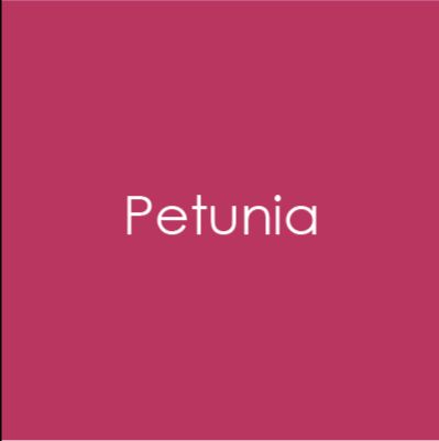 Gina K. Designs - Heavy Weight Cardstock - Petunia. This pack contains 10; 100lb. Available at Embellish Away located in Bowmanville Ontario Canada.