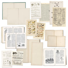Load image into Gallery viewer, 49 And Market - Vintage Artistry - Naturalist Bookplates. Includes 17 mix and match pieces of heavy weight cardstock die-cuts. Pieces vary in size from approximately 3.75x4.75 inches to 8x8 inches. Stack, layer or use alone. Imported. Available at Embellish Away located in Bowmanville Ontario Canada.
