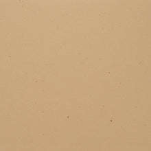 Cargar imagen en el visor de la galería, Bazzill - Speckle Cardstock 12X12 - Sand Dollar 12x12 Bowmanville Ontario Canada
