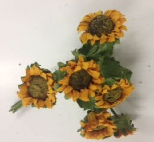 MultiCrafts - Flower Bunches - Dried Sunflower w/leaves x 6 2