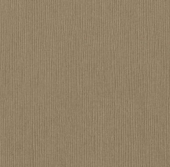 Bazzill-Fourz Cardstock. With the hundreds of choices in cardstock Bazzill offers you are guaranteed to find just the right one with the perfect finish for all of your scrapbook, card making and paper craft projects of all kinds. Choose from a variety of colours in 12x12 inch sheets of high quality cardstock with a grass cloth finish. Available at Embellish Away located in Bowmanville Ontario Canada. Quick Sand.