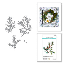 Charger l&#39;image dans la galerie, Spellbinders - Etched Dies By Susan Tierney-Cockburn - Winter Evergreen Foliage - Winter Garden. The set of four thin metal cutting dies makes for a wonderful accent on any floral creation or cut many to create a wreath. So many design options! Available at Embellish Away located in Bowmanville Ontario Canada.
