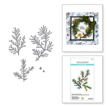 將圖片載入圖庫檢視器 Spellbinders - Etched Dies By Susan Tierney-Cockburn - Winter Evergreen Foliage - Winter Garden. The set of four thin metal cutting dies makes for a wonderful accent on any floral creation or cut many to create a wreath. So many design options! Available at Embellish Away located in Bowmanville Ontario Canada.
