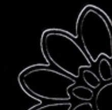將圖片載入圖庫檢視器 Peel-Off Stickers - Joyeux Anniversaire. A sticker sheet with French language text &quot;Joyeaux Anniversaire&quot;. Includes flower stickers for additional decoration. This package is 4&quot;x9&quot; sticker sheet. Each sold separately.  Available: Gold, Silver, Black.  Coordinating: Sticker Folder. Available at Embellish Away located in Bowmanville Ontario Canada.
