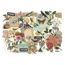 गैलरी व्यूवर में इमेज लोड करें, Tim Holtz - Idea-Ology - Layers Die-Cuts - 45/Pkg - Organic. These unique sheets feature decorative vintage art and designs of nature and documents that will add a touch of nostalgia to any project. Available at Embellish Away located in Bowmanville Ontario Canada.
