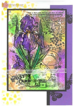 Load image into Gallery viewer, Woodware Craft Collection - Woodware Clear Singles - Vintage Iris. Made in UK. Size approx. 3.5x 5.25 inches. Available at Embellish Away located in Bowmanville Ontario Canada.
